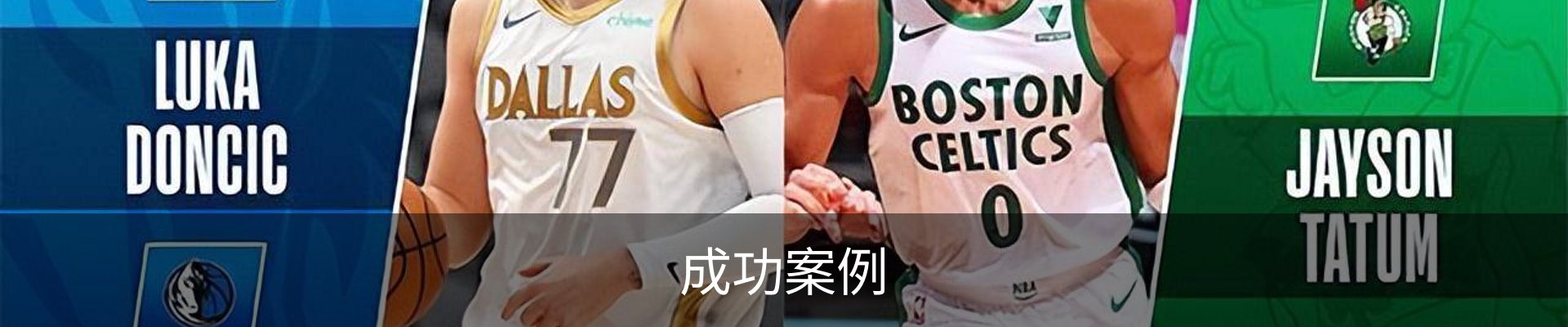 成功案例